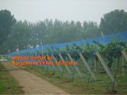 Hot Selling Greenhouse Anti Insect Netting with Competitive Price,virgin hdpe anti insect net for agriculture, BAGPLASTI